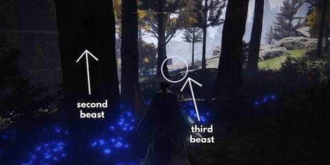 Where To Find All Memory Stones In Elden Ring
