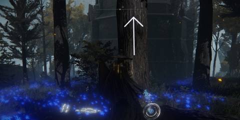 Where To Find All Memory Stones In Elden Ring
