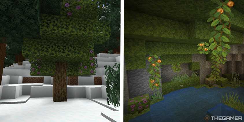 How To Find And Use Moss In Minecraft