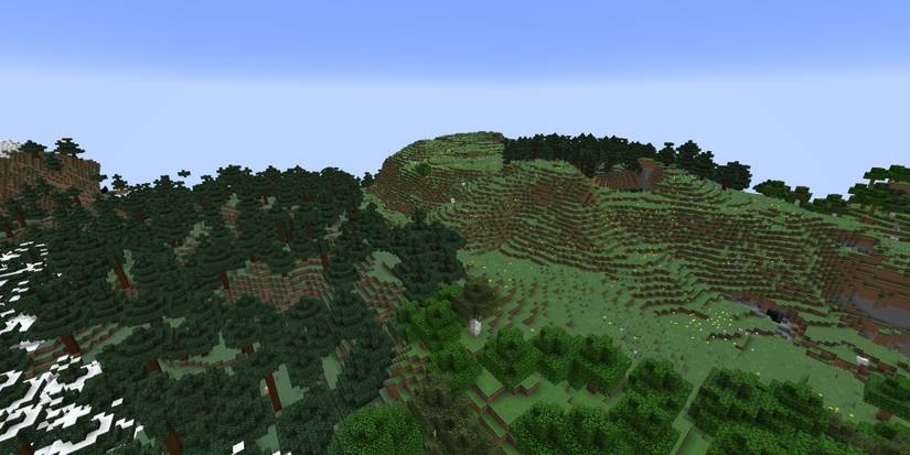 overview of two forest biomes