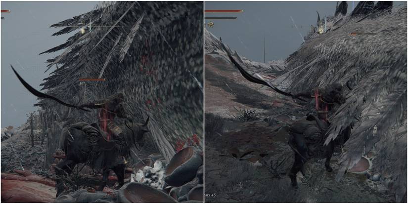 Elden Ring: Elder Dragon Greyoll Boss Guide
