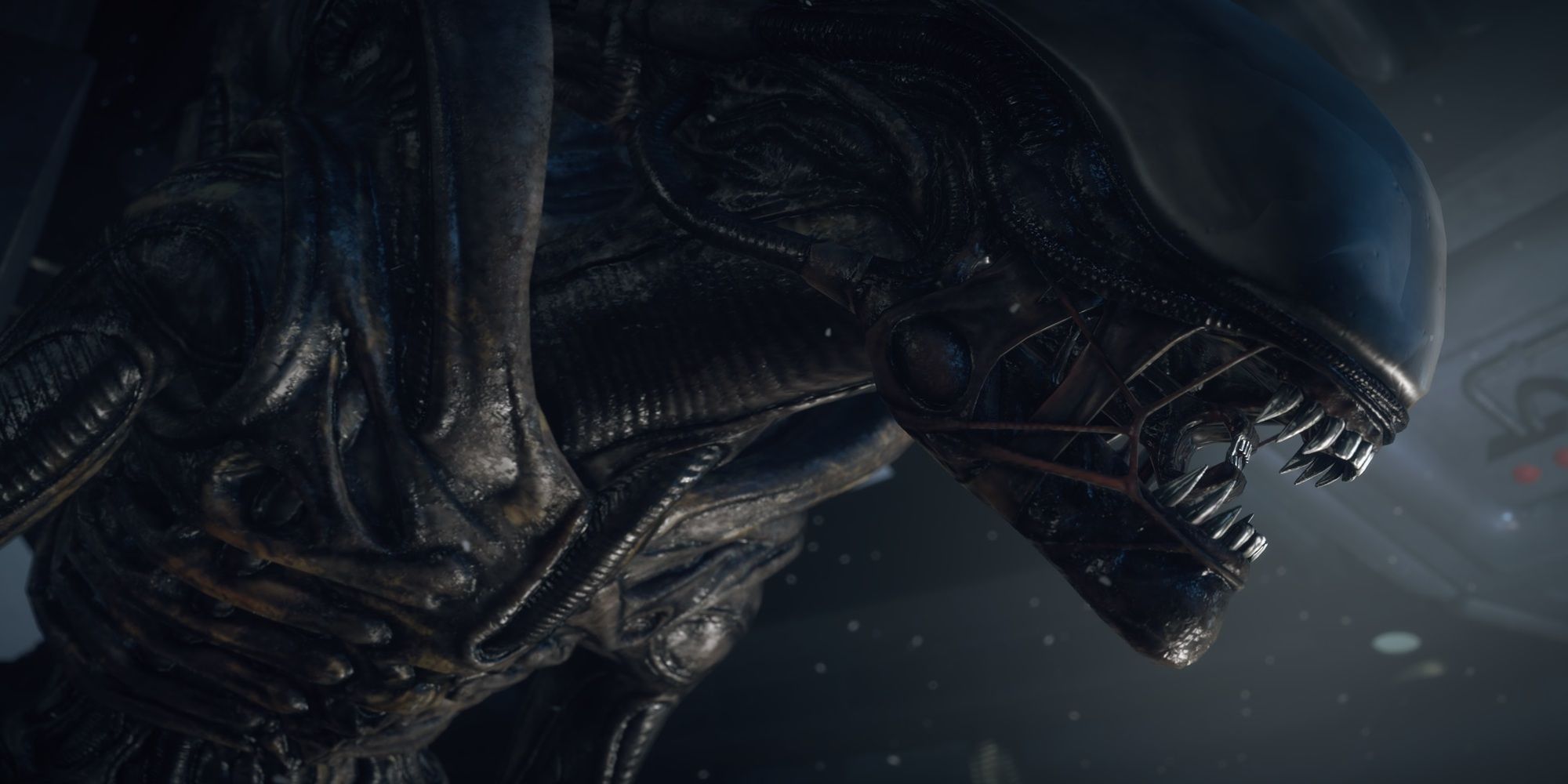 The Best Xenomorph Designs In The Alien Series