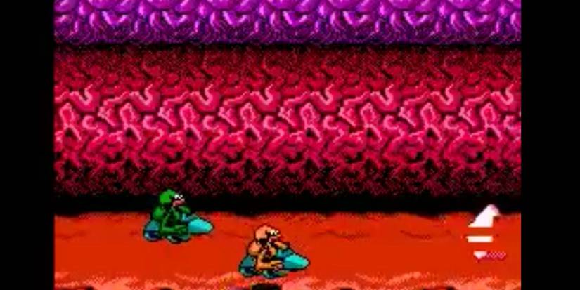 Two Battletoads riding Hovercrafts through a brain