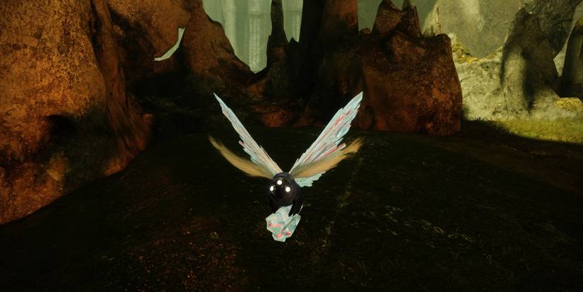 Destiny 2: All Lucent Moth Locations