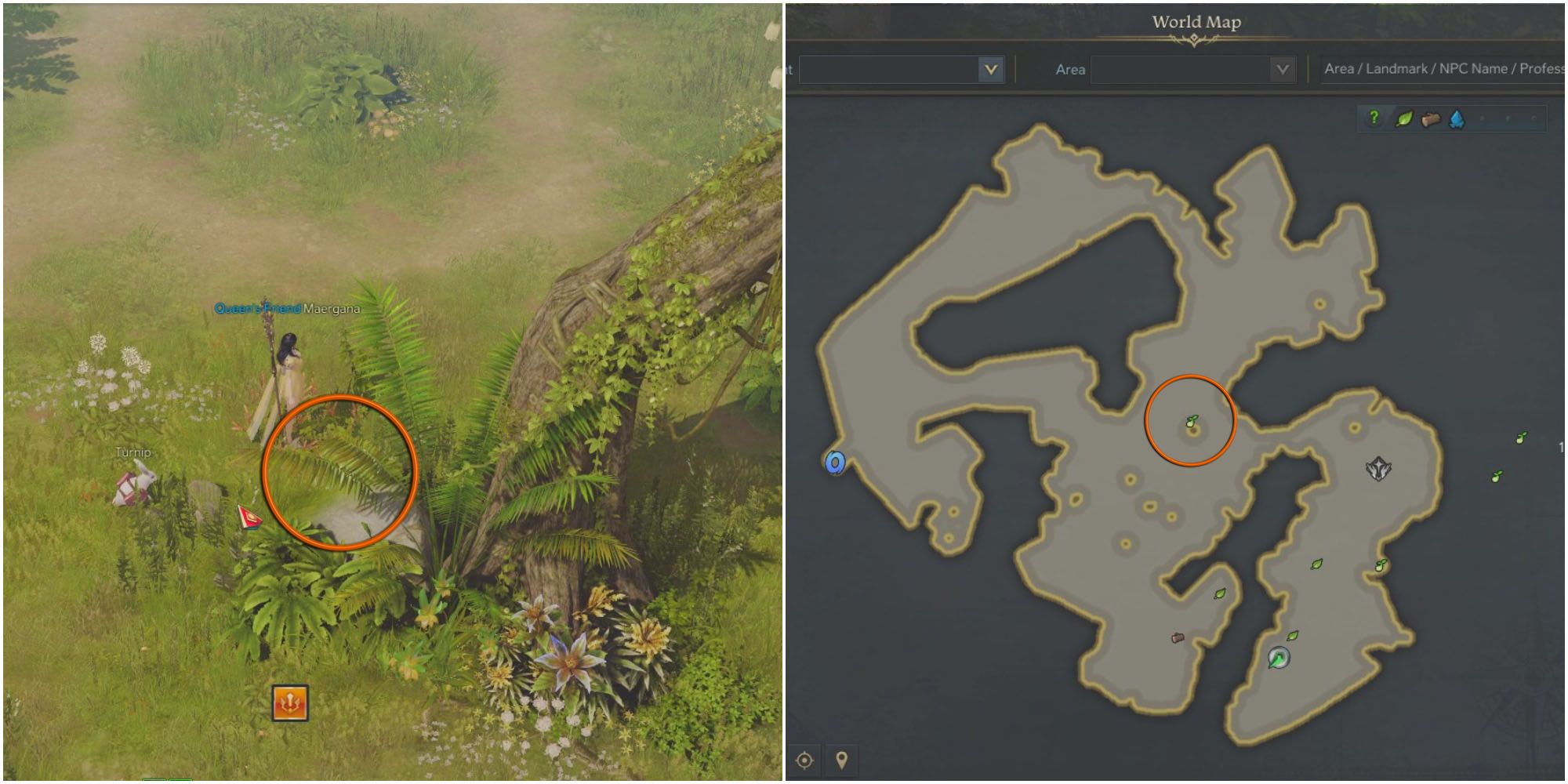 Every Mokoko Seed Location In Lullaby Island In Lost Ark