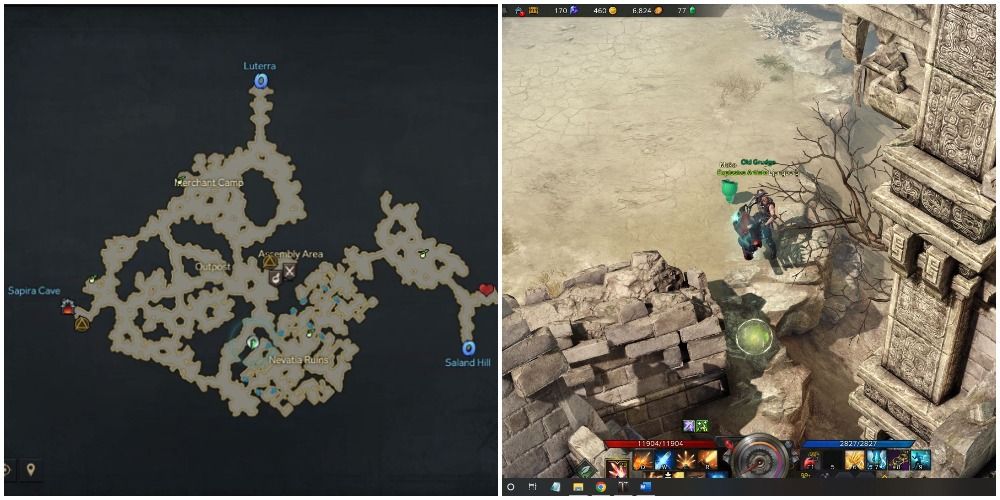Where To Find Every Ozhorn Hill Mokoko Seed In Lost Ark