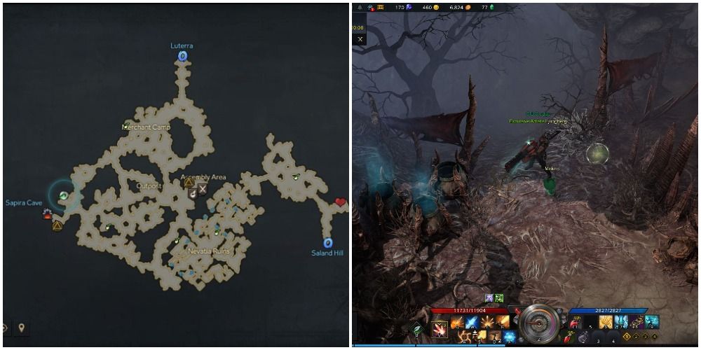 Where To Find Every Ozhorn Hill Mokoko Seed In Lost Ark