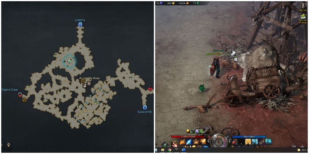 Where To Find Every Ozhorn Hill Mokoko Seed In Lost Ark