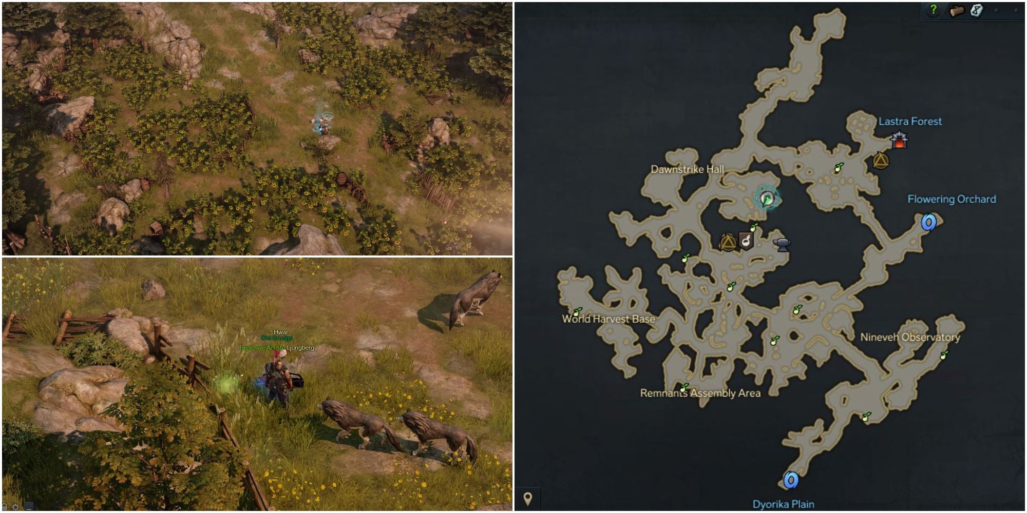 Lost-Ark-all-mokoko-seed-