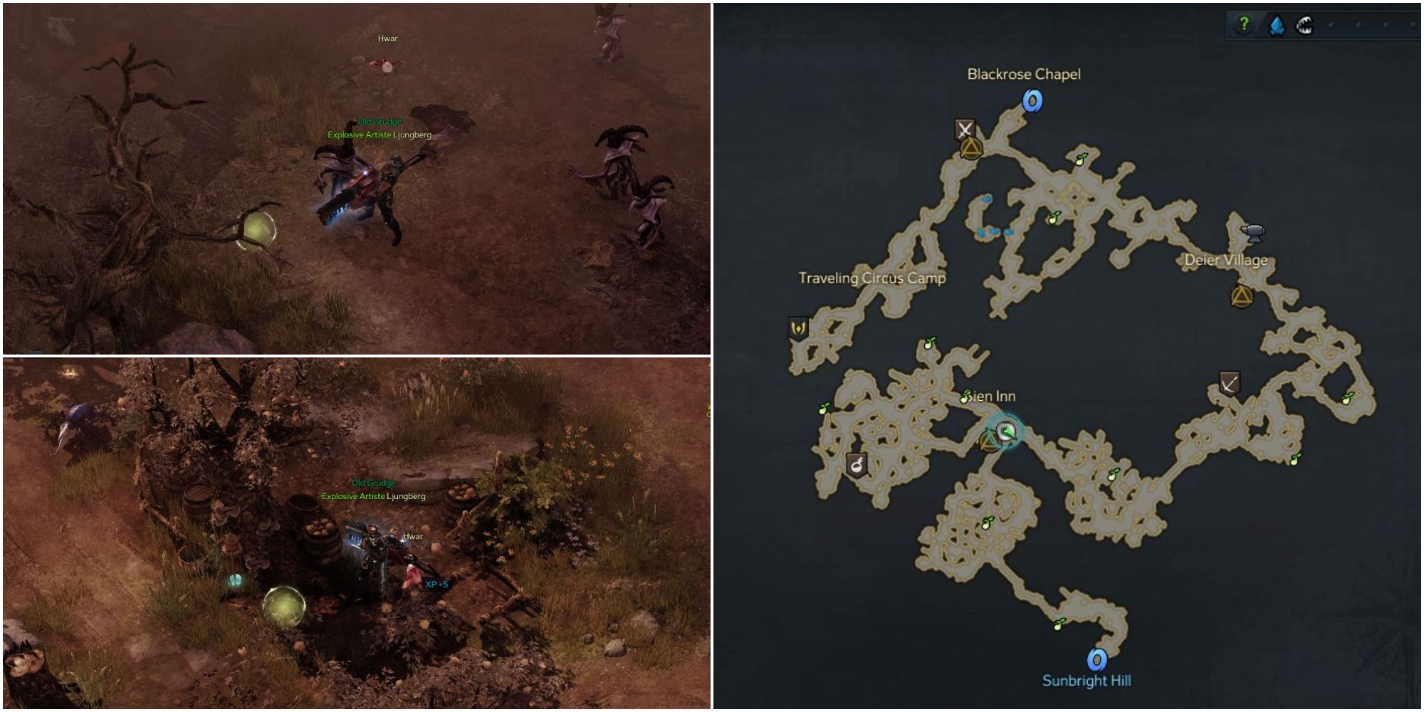 Where To Find All Mokoko Seeds At Flowering Orchard In Lost Ark