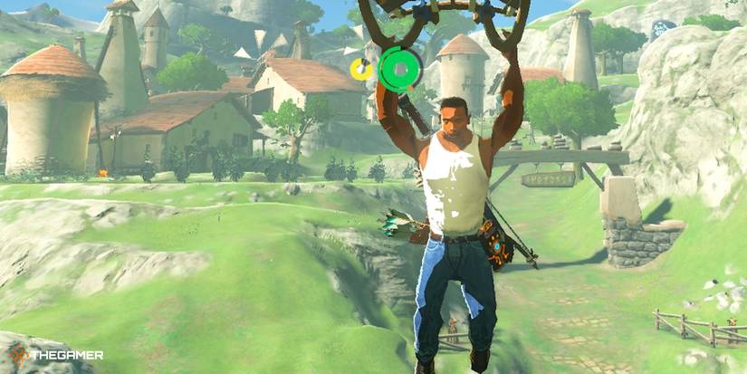 Breath of the Wild - CJ Mod