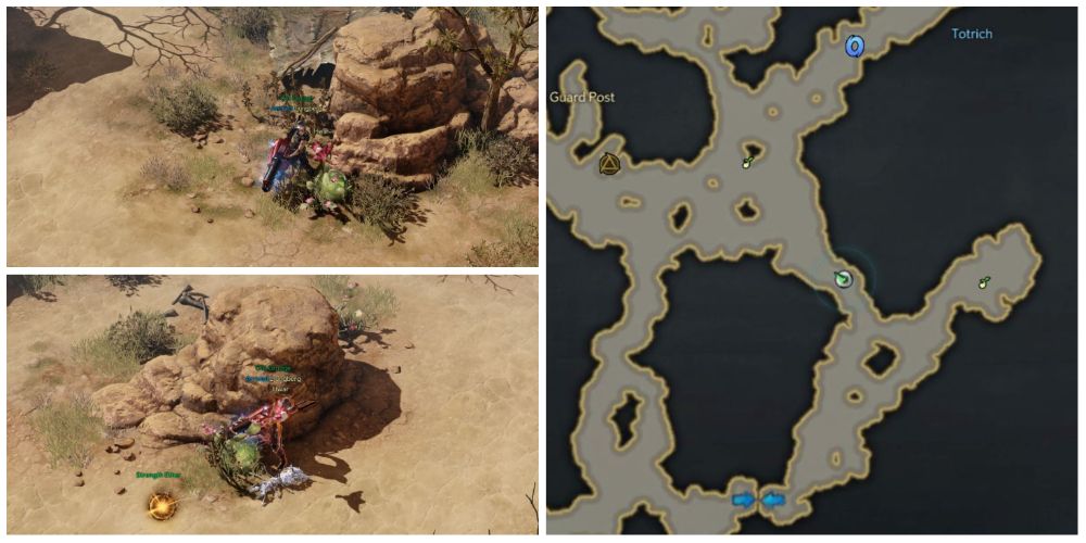 Where To Find All Mokoko Seeds In Windbringer Hills In Lost Ark