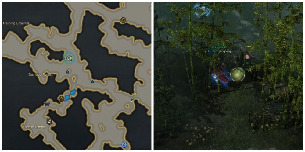 Where To Find Every Mokoko Seed In Melody Forest In Lost Ark