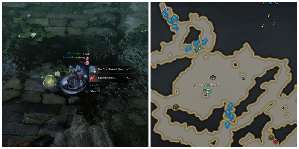 Where To Find Every Mokoko Seed In Melody Forest In Lost Ark