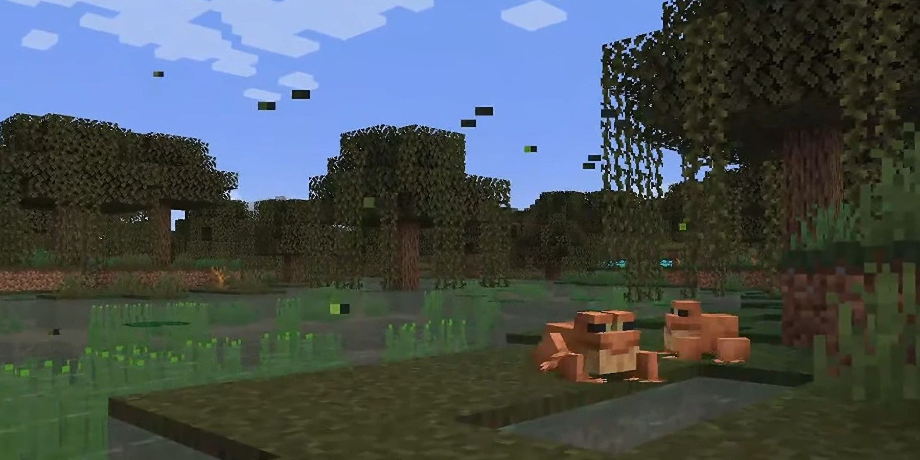 Minecraft Firefly Frogs In The Swamp In Daylight