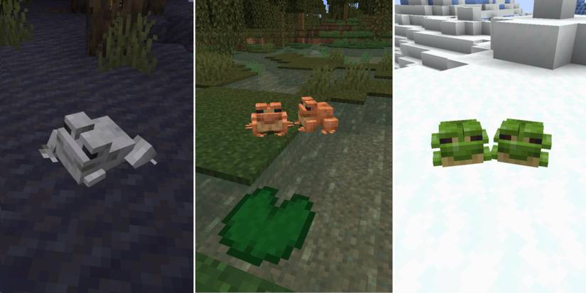 Tree Frog Minecraft Minecraft: Frogs, Explained