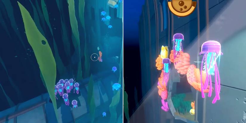 Animale Raft All Animals In Raft, Ranked