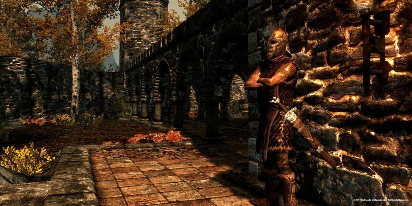 A Riften guard in Skyrim.