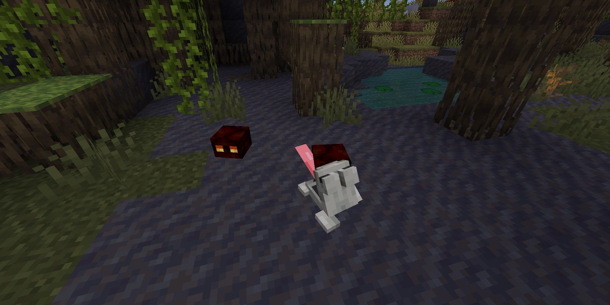 minecraft frog eating magma cube