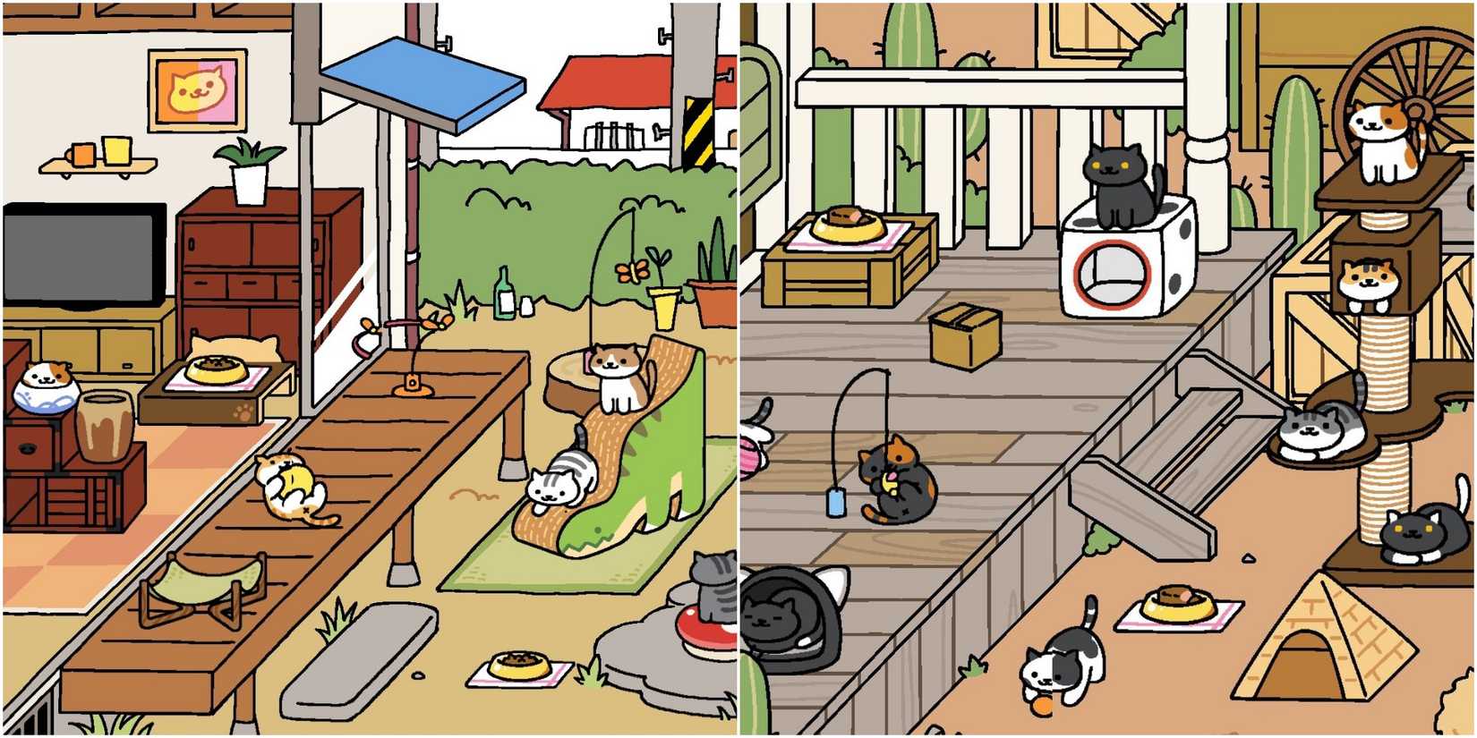A split image of kitties playing with toys in a yard and living room, and kitties playing on a porch