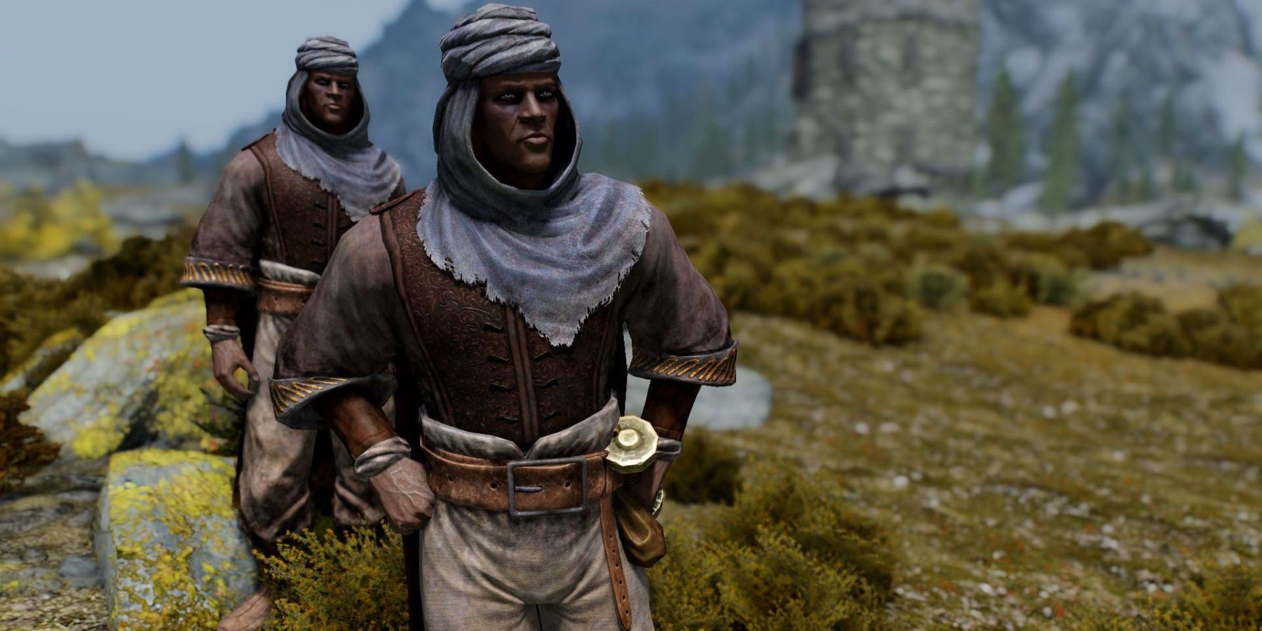 Skyrim: All 10 Playable Races Ranked According to Height