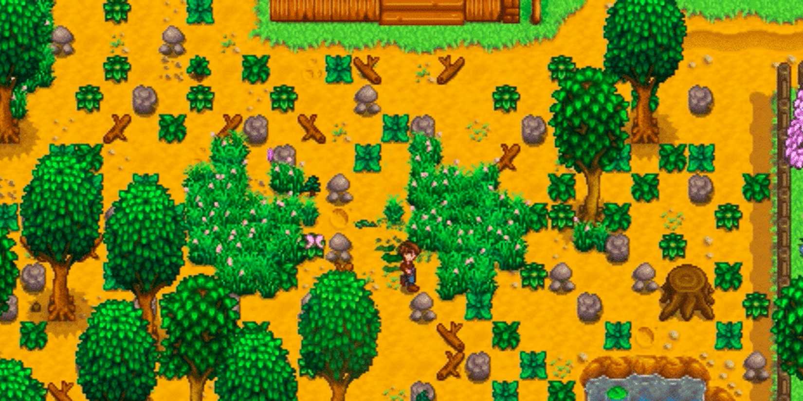 player walking in overgrowth on farm in Stardew Valley