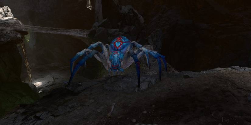 Baldur's Gate 3 Phase Spider Matriarch close up