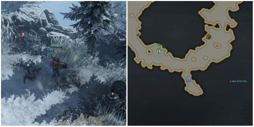 Every Mokoko Seed In Bitterwind Hill In Lost Ark