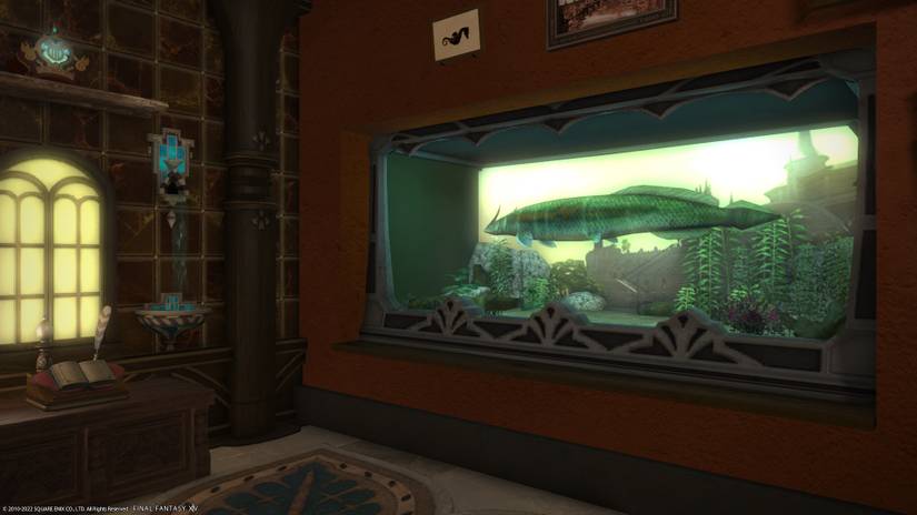 fish aquarium accessories online Must-Have Accessories for Every Freshwater Aquarium  Charterhouse Aquatics