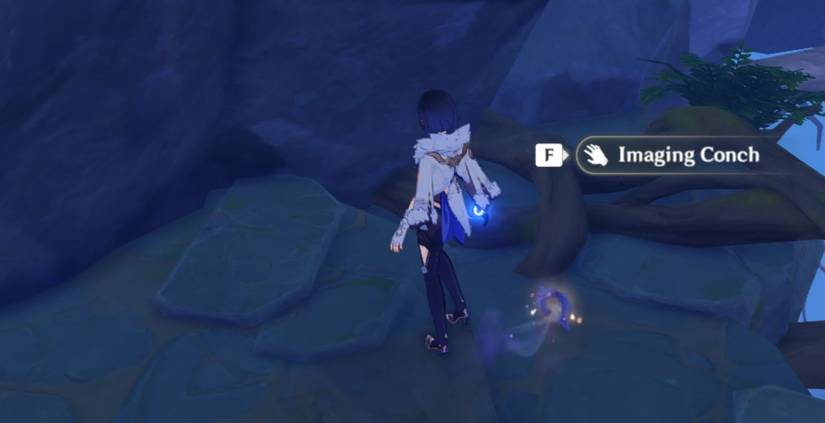 Genshin Impact Minacious Isle Conch 2