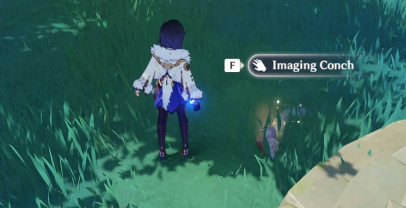 Genshin Impact Pudding Isle Conch 1