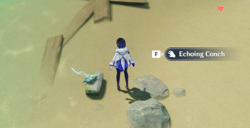 Genshin Impact Pudding Isle Conch 2