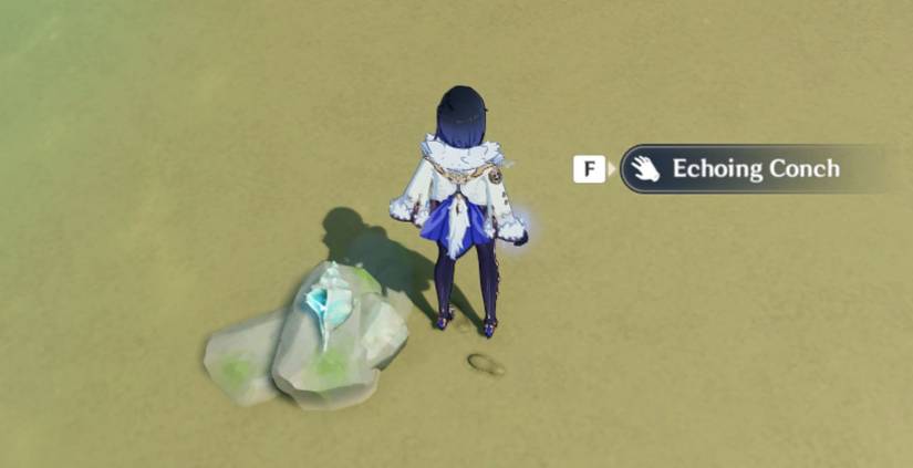 Genshin Impact Pudding Isle Conch 3