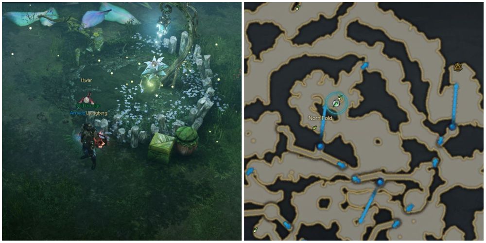 Where To Find All Of The Vernese Forest Mokoko Seeds In Lost Ark