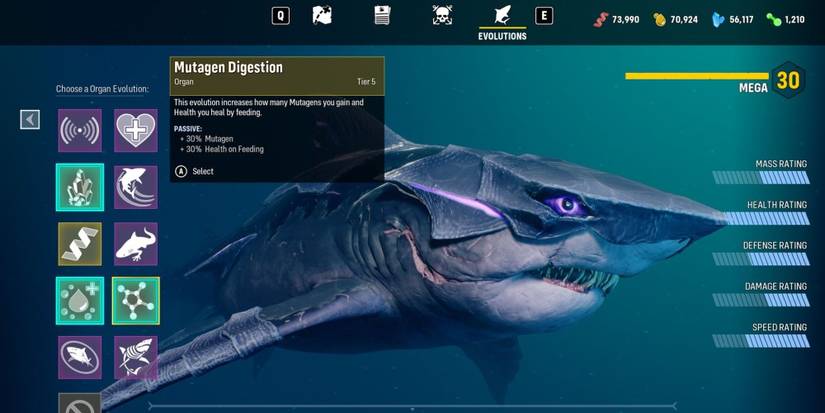 Maneater: Tips And Tricks For Beginners