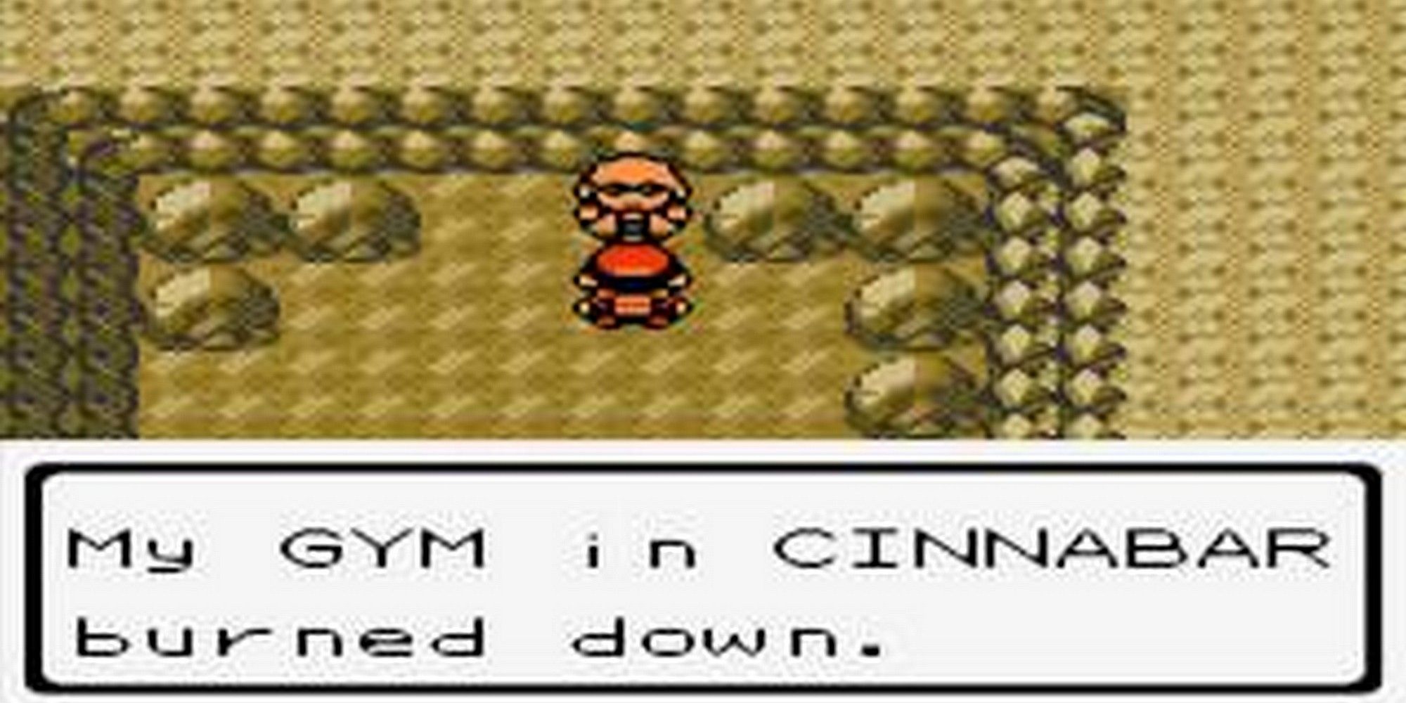 Best Custom Pokemon Nuzlocke Rules
