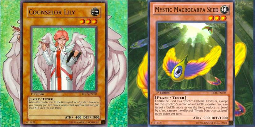Best Earth Attribute Support Cards In Yu-Gi-Oh! Best Earth Attribute Support Cards In Yu-Gi-Oh!