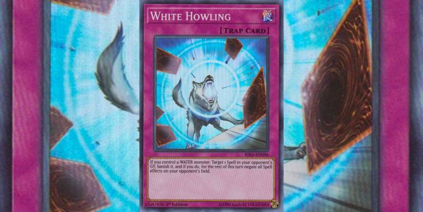 Yu-Gi-Oh!: 10 Best Water Attribute Support Cards Yu-Gi-Oh!: 10 Best Water Attribute Support Cards