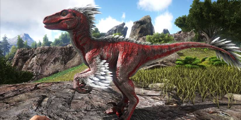 Tips And Tricks For Beginners In Ark: Survival Evolved
