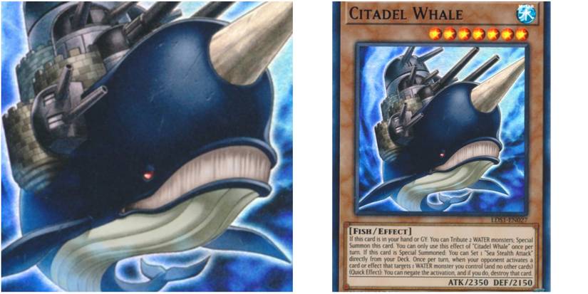 10 Best Cards From Yu-Gi-Oh! Legendary Duelists: Duels From The Deep 10 Best Cards From Yu-Gi-Oh! Legendary Duelists: Duels From The Deep