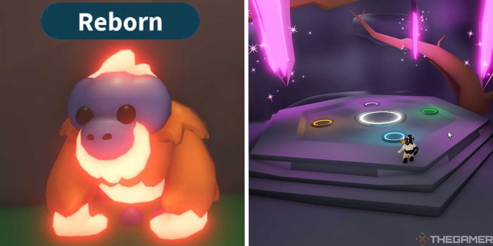 An image of a neon orangutan next to an image of a neon cave