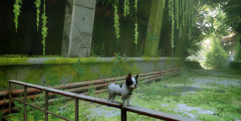 Stray Mod Lets Dog Lovers In On The Fun