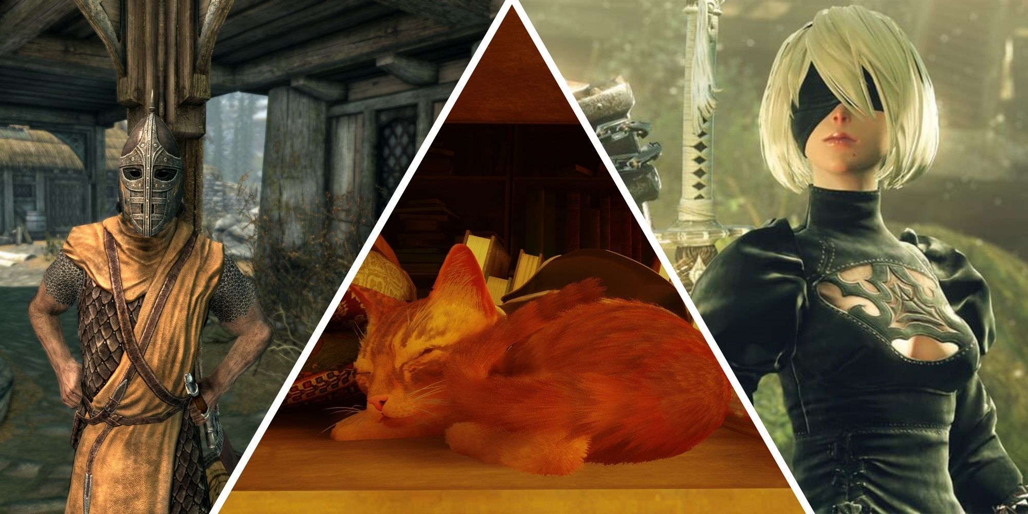 Skyrim guard, cat from Stray, 2B from Nier Automata