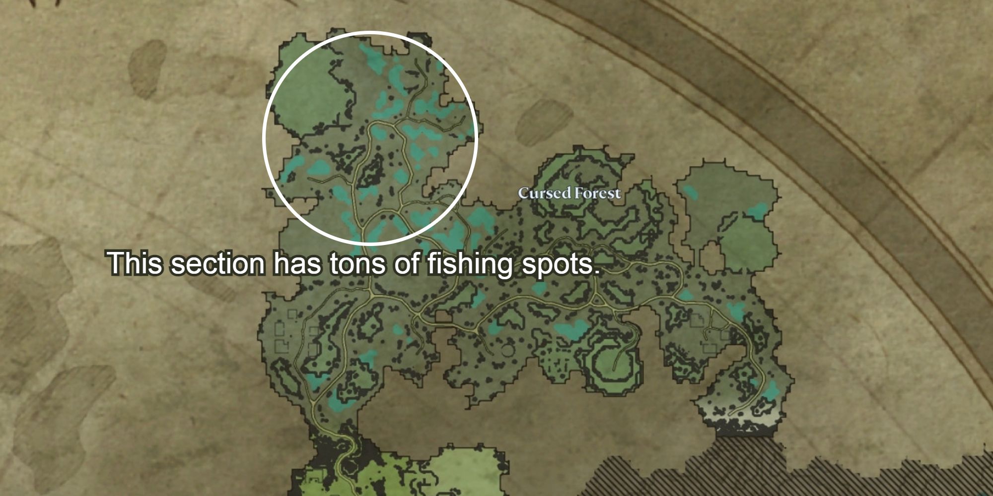 best fishing spots for the cursed forest