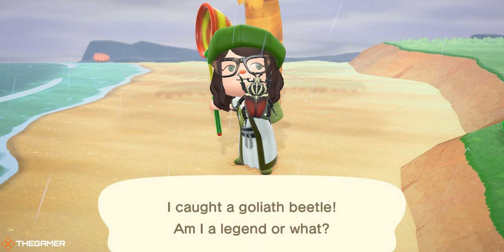 Animal Crossing New Horizons - The player holds a Goliath Beetle