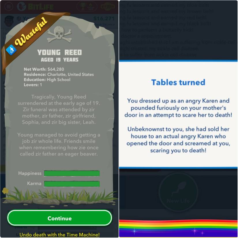 Things We Wish We Knew Before Starting BitLife