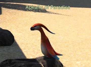 Final Fantasy 14 Apkallu of Paradise