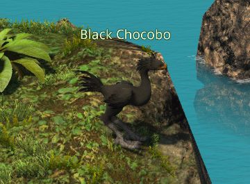 Final Fantasy 14 Black Chocobo