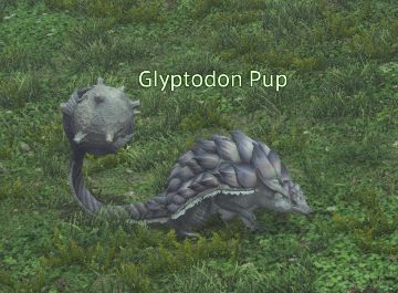 Final Fantasy 14 Glyptodon Pup