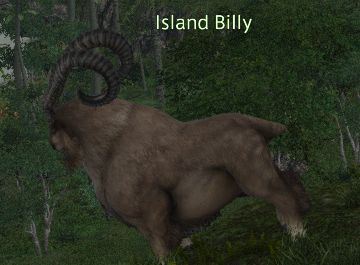 Final Fantasy 14 Island Billy